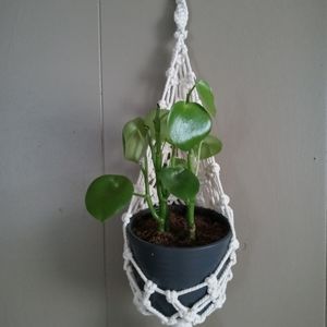Large Macrame Plant Basket